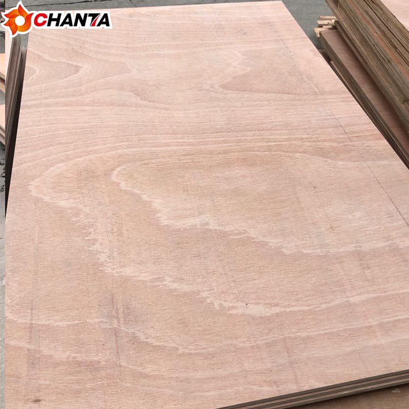 Eucalyptus Plywood