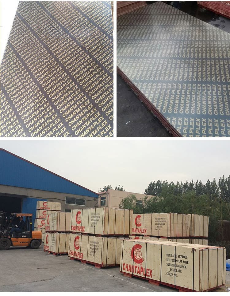 Chantaplex Film Faced Plywood