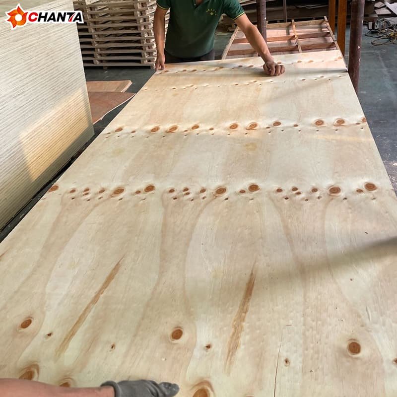 CDX Pine Plywood