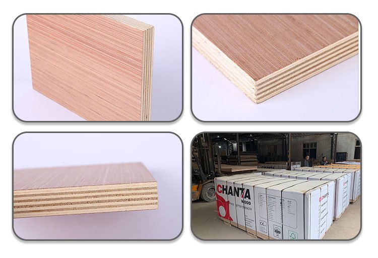 red hardwood plywood price