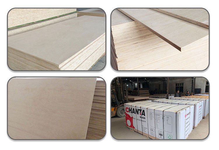 eucalyptus plywood price