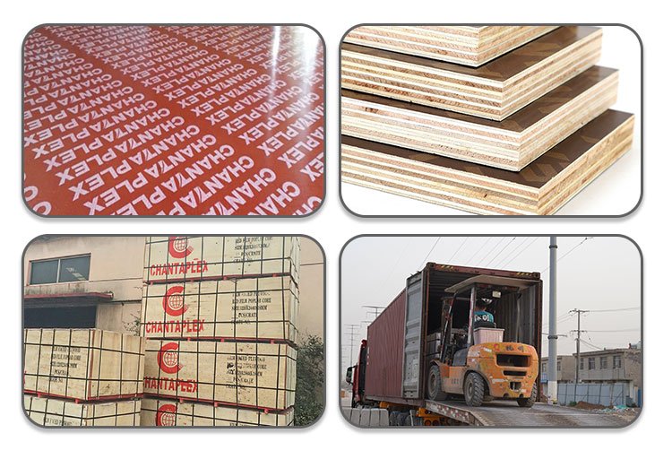 chantaplex film faced plywood price