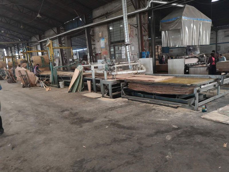 Veneer Paving Line Machine(图3)